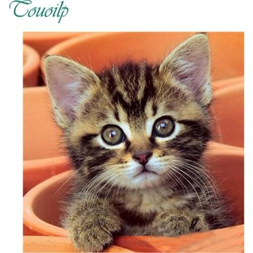 100% Full 5D Diy Daimond Painting Lovely Cat In A Cup 3D Diamond Painting Round&Square Rhinestones Diamant Painting Embroidery