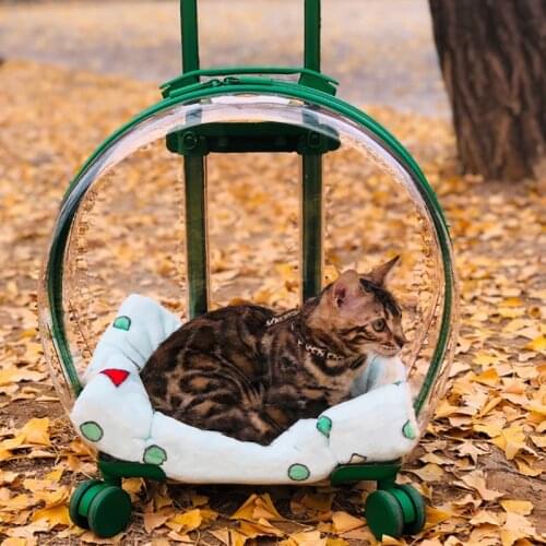 Cat Backpack Go Out Portable Space Capsule Bag Pet Backpacks Trolley Case Articles For Cats And Dogs Transparent Large Capacity