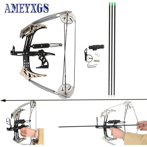 1set 25lbs Metal Archery Compound Bow With 3 Arrows 1Infrared Aiming Bow Sight Mini Hand Grip Hunting Bow For Fishing Shooting