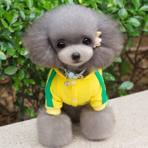 Pet Dog Clothes For Small Medium Dogs Spring Autumn Clothing XS-XXL Overalls Jumpsuit Puppy Outfit Cat Coat Thick Chihuahua York