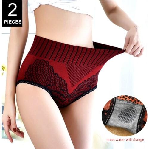 2 Pcs High Waist Abdomen Women Panties Graphene Crotch Ladies Lace Butt Up Briefs Warm Uterus Underwear
