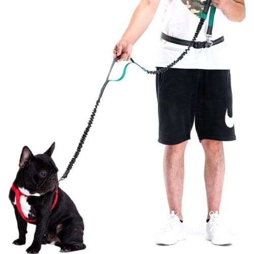 Shock Absorbing Running Leash Hand Free Reflective Dog Running Leash For Walking Dogs With Strong Bungee Cord