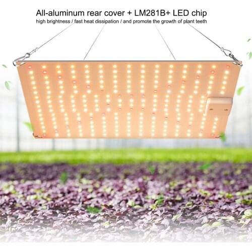 TONY LED Plant Lamps