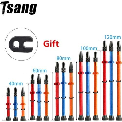 2PCS Valve Caps 40-120mm Stem Bicycle F/V Presta Tubeless Tire Valve Bike MTB Nipple Tool Alloy Valve Cap Bicycle Accessories