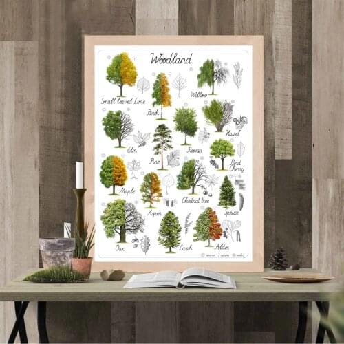 Tree Natural Educational Poster Canvas Prints Art Woodland Home Wall Decor Botanical Materials Preschool Kindergarten Painting