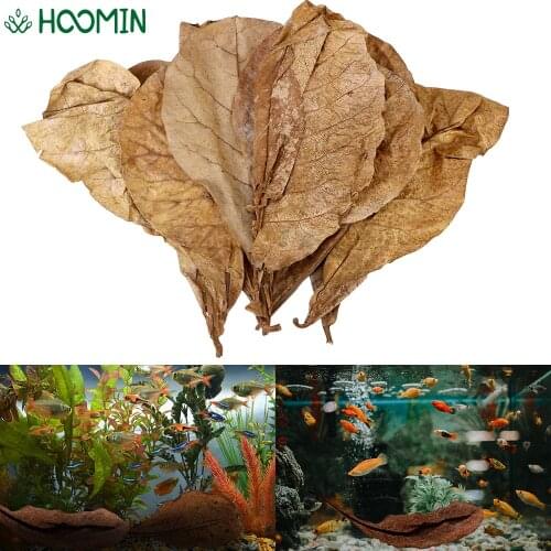 20PCS Natural Terminalia Catappa Leaves Fish Tank Cleaning Tools Accessories to Balance PH Acidity Aquarium Water Treatment