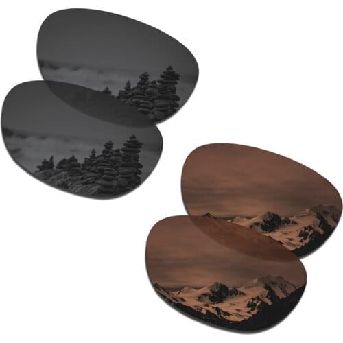 SmartVLT 2 Pairs Polarized Sunglasses Replacement Lenses for Oakley Stringer Stealth Black and Amber Brown