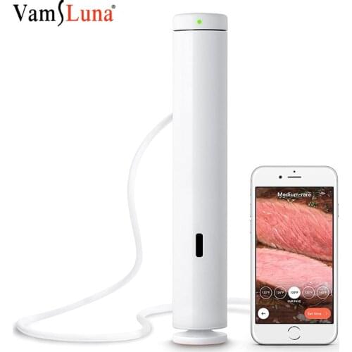 1100W Vacuum Slow Sous Vide Food Cooker LED Immersion Circulator Accurate Temperature Timer Waterproof IPX7 Stainless Steel