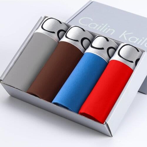 4pcs Men Underwear Modal Youth Teen Unpanites Fashion Boxer Shorts