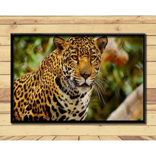 Jaguar Strong And Fast Land Animal (40) Wall Posters Prints Silk Art Painting For Home Wall Bedroom Decor