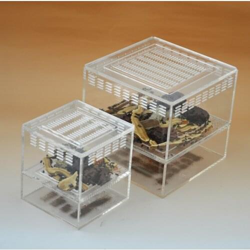 Mini Insect Feeding Box Acrylic Ant Breeding Box Transparent Activity Area Ant Farm 10*10*11cm