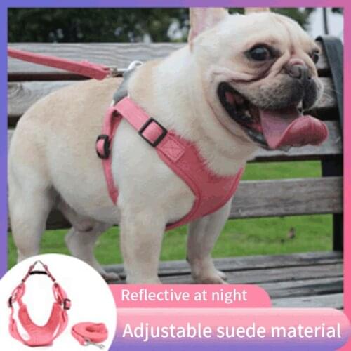 Dog Walking Rope Harness Vest Leash Set Soft Comfortable Adjustable Dog Harnesses Outdoor Walking Safety For Pets Accessories