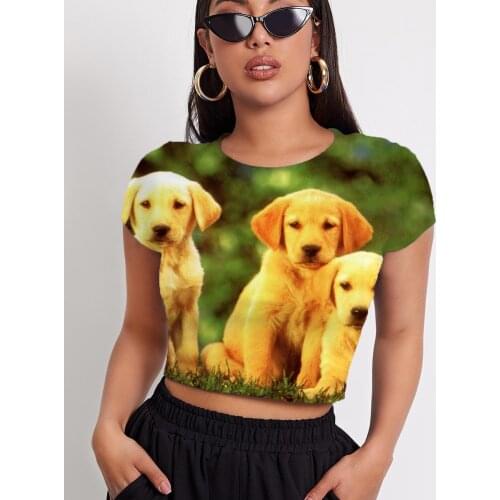 3d Tshirt Dog T shirt Women Animal Shirt Print Home T-shirts 3d Harajuku Tshirt Printed Short Sleeve Hip Hop Casual Tops Male