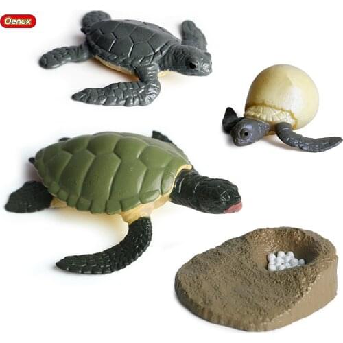 Oenux Ocean Reptile Animals Simulation Sea Life Tortoise Turtle Growth Cycle Model Action Figures Education Cognitive Kids Toy
