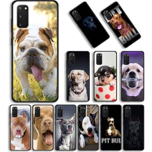 Phone Case for Samsung Galaxy S20 FE S21 Ultra 5G S20 S10 S8 S9 Plus S10e Black Cover TPU Shell pitbull dog