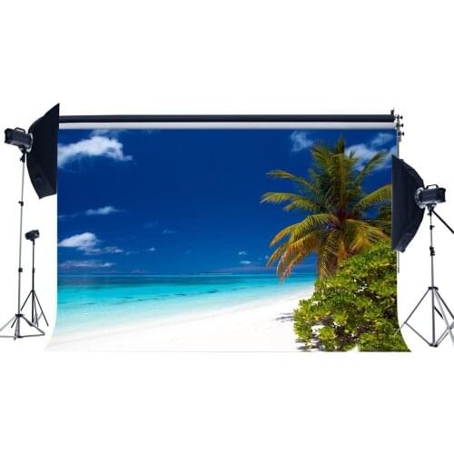 Seaside Sand Beach Backdrop Coconut Palm Blue Sky White Cloud Nature Romantic Summer Holiday Photography Background