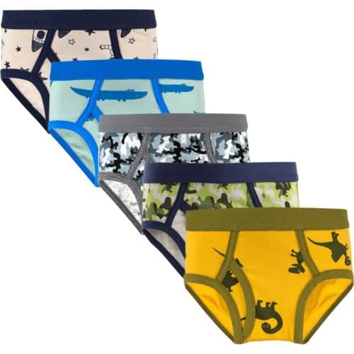 5pcs/set Kids Boys Cotton Underwear Cartoon Childrens Cute Breathable Shorts Panties for Baby Boy Kid Teenager Underpants