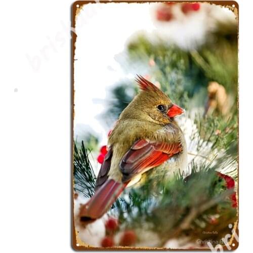 Female Cardinal Metal Signs pub Garage Poster Club Design Tin sign Posters