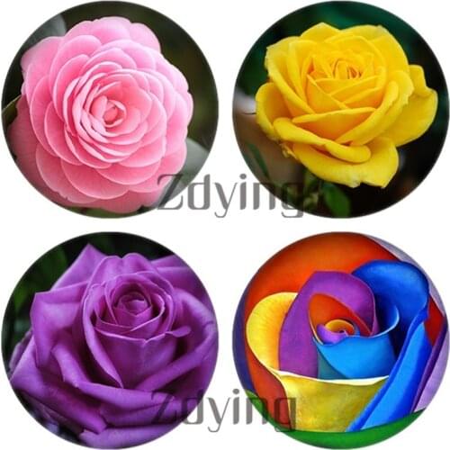 10pcs Beautiful Colorful Rose Flowers Round Glass Cabochon & Glass Photo Dome Gems Demo Flat Back Making Jewelry Findings