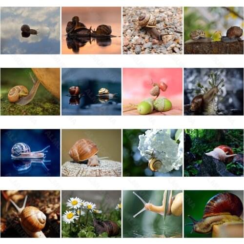 Diy Diamond Painting Snail Flower Nordic Wind Full of Diamond Flowers Handmade Dot Inlaid Diamond Bedroom Living Room Sticker