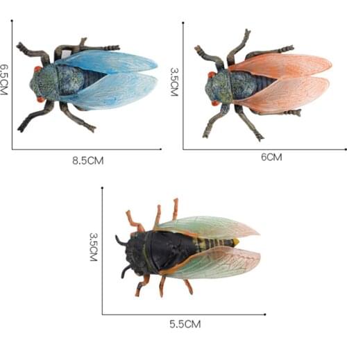 Insects Model Plastic Fake Cicada Lifelike Insects Bugs Figurines for Kids Themed Party