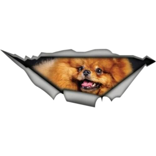 Dawasaru Pomeranian Lovely Car Sticker Personality Sunscreen Decal Laptop Motorcycle Auto Accessories Decoration PVC,13cm*4cm