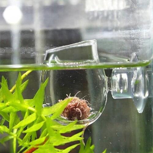 Aquariums Fish Feeders Glass Feeding Food Cup Plant Cup Fish Clear Dish Tray