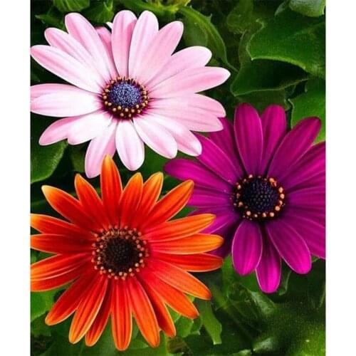 Flower Rose DIY Embroidery 11CT Cross Stitch Kits Needlework Craft Set Cotton Thread Printed Canvas Wholesale For Living Room