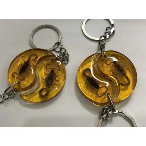 10 pcs Brown Scorpion Insect KeyChain Taxidermy Display