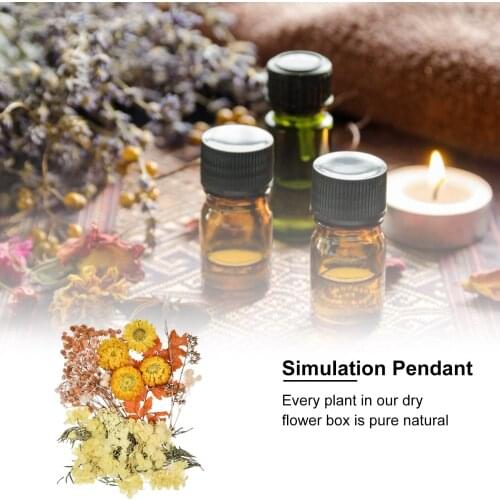 Dried Flowers For Resin Dried Flowers Leaves Bulk For DIY Candles Real Dried Pressed Flowers Dry Leaves Real Herbs Kit For DIY