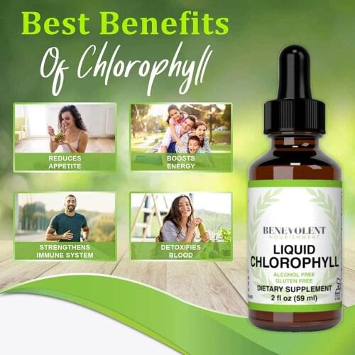 Chlorophyll Liquid Drops Chlorophyll Liquid Extract Dietary Supplement For Digestive Immune Copper for High Stability