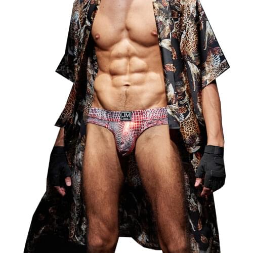 HaleyChan Sexy Panties Mens Thong Big Pouch Gay Underwear Jockstrap Men Sissy Lingerie for Men Men Sexy Under Wear G String