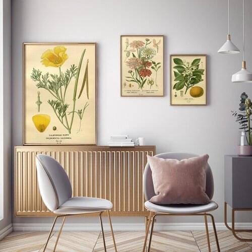 Vintage Canvas Painting Plant Poster Botanical Flower Study Living Room Hanging Tree Peony Rose Orange Picture Home Decor