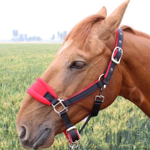 Horse Rope Halter Headcollar Equestrian Equipment Adjustable Thicken Horse Riding Bridle Head Collar Horseback Strap Accessories
