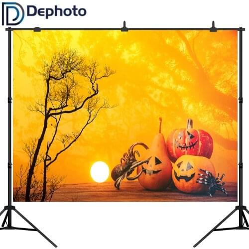 Dephoto Photography Backdrop Halloween Pumpkin Wood Floor Spider Photocall customize Background photobooth photo studio