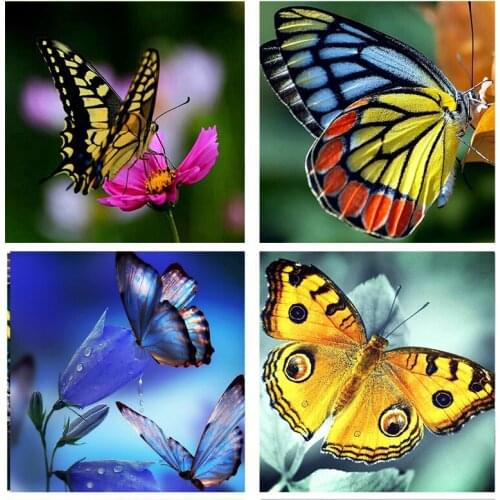 Hot New product DIY full diamond square 5D diamond painting butterfly diamond embroidery mosaic flower home decoration gift
