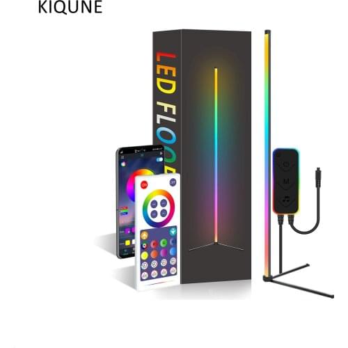 KIQUNE Floor Lamps