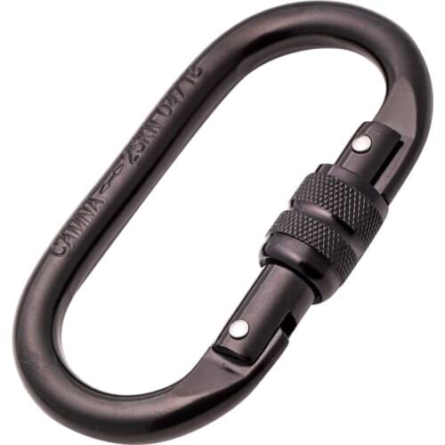 Oval-Shape 25KN Outdoor Rock Climbing Hiking Screw Locking Carabiner Hook