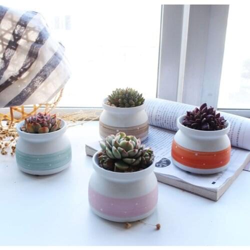 4 Pieces of Creative Succulent Flower Pots, Small Fresh Ceramic Vases, Desktop Floral Ornaments, Garden Seedlings, Ribbons Pot