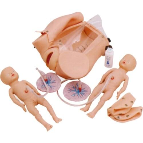Senior Childbirth Mechanism Teaching Series Model (Female Model) BIX-F52 WBW082