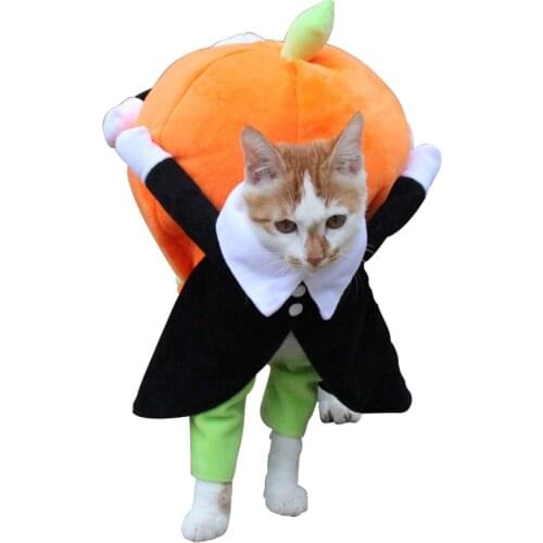 Dog Clothes Halloween Funny Pet Pumpkin Costume Pet Cosplay Special Events Apparel Outfit Dog Cute Costumes
