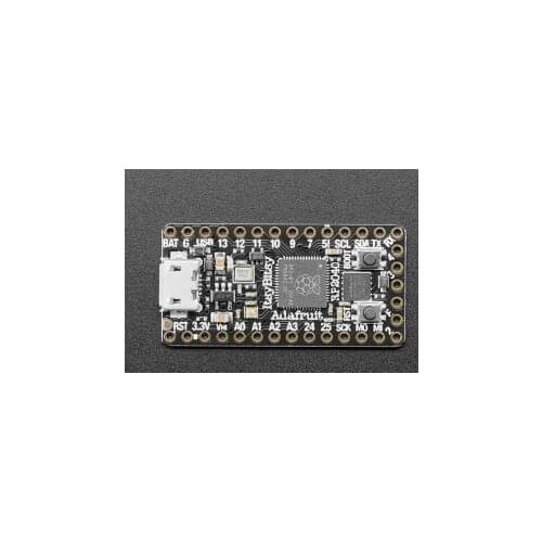 4888 - ARM ItsyBitsy RP2040