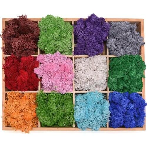 20/40g Artificial Natural Plant Eternal Life Moss Mini Micro Landscape Decor Accessories Home Garden Ornament DIY Flowers Crafts