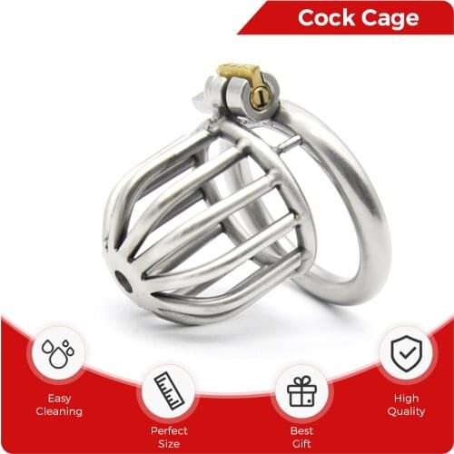 Male Stainless Steel Cock Cage Penis Ring Lock Chastity Device Belt Slave Training outdoor Wear BDSM Adult Gay Sex Toy for Men