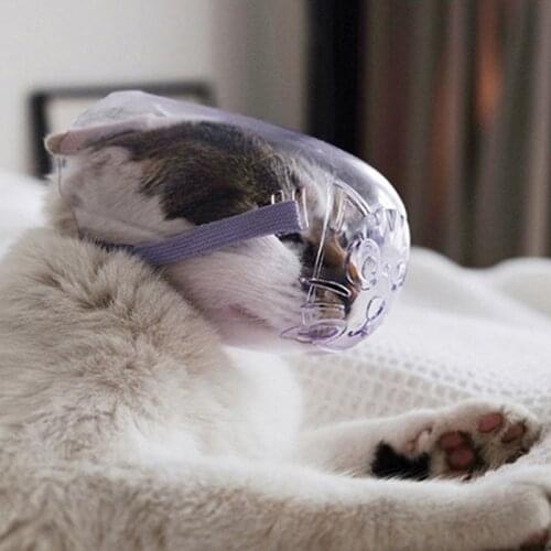 Breathable Cat Dog Muzzle Break Pet Mouth Mask For Kitten Puppy Pet Mask Keep The Mouth Cover Transparent Muzzle