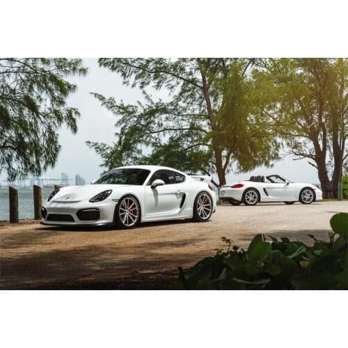 Convertible Porsches White Sport Cars Posters Wall Art Canvas Print Paintings For Home Decor