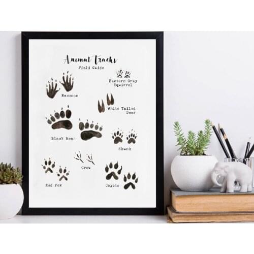 Woodland Animal Tracks Poster Canvas Art Prints , Animal Tracking Footprints Canvas Painting Wall Picture Rustic Nature Decor