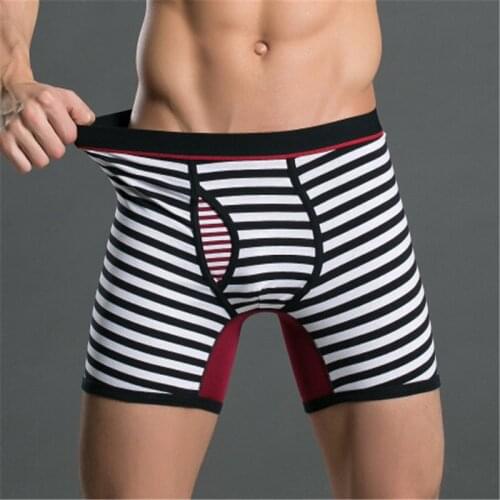 LeafMeiry Men's Briefs