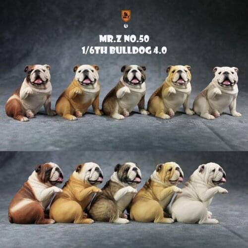 Mr.Z MRZ050 animal model NO. 50 ,1/6 Scale Bulldog 4.0