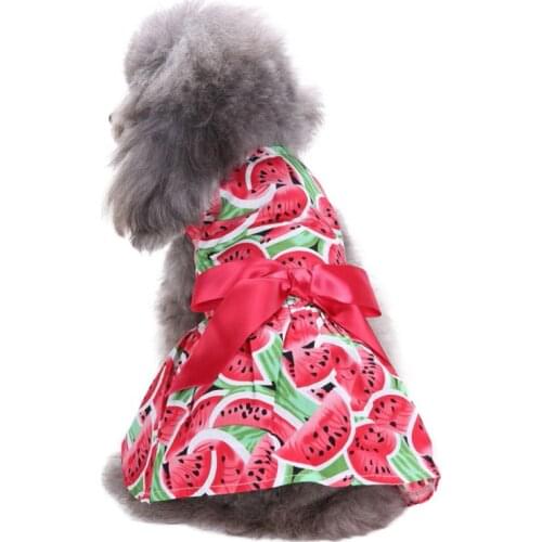 A Cute Printed Dog Dress Big Swing Skirt Soft Sleeveless Tutu Dress Spring And Summer Pet Dog Clothes Puppy Dog Costume
